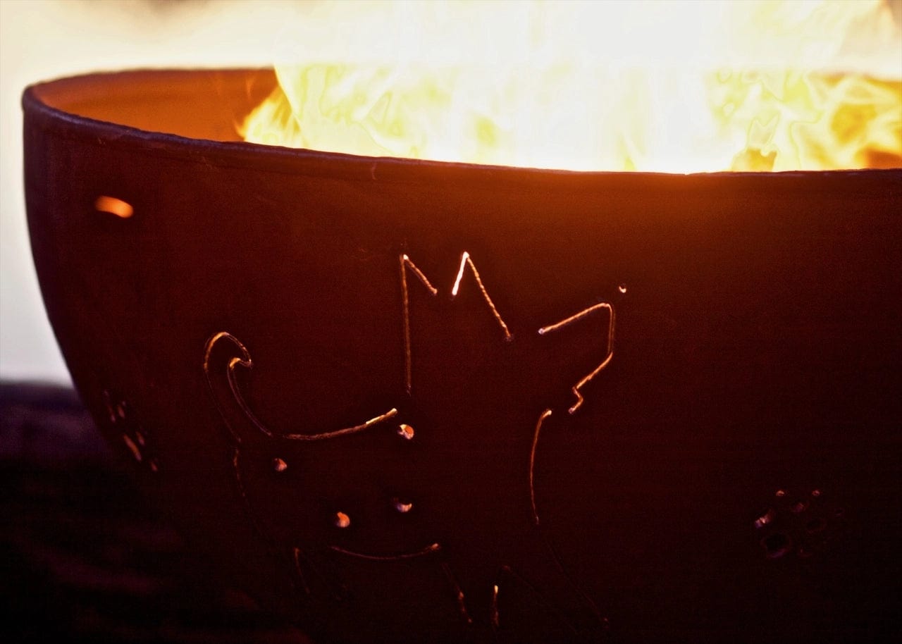 Fire Pit Art Funky Dog