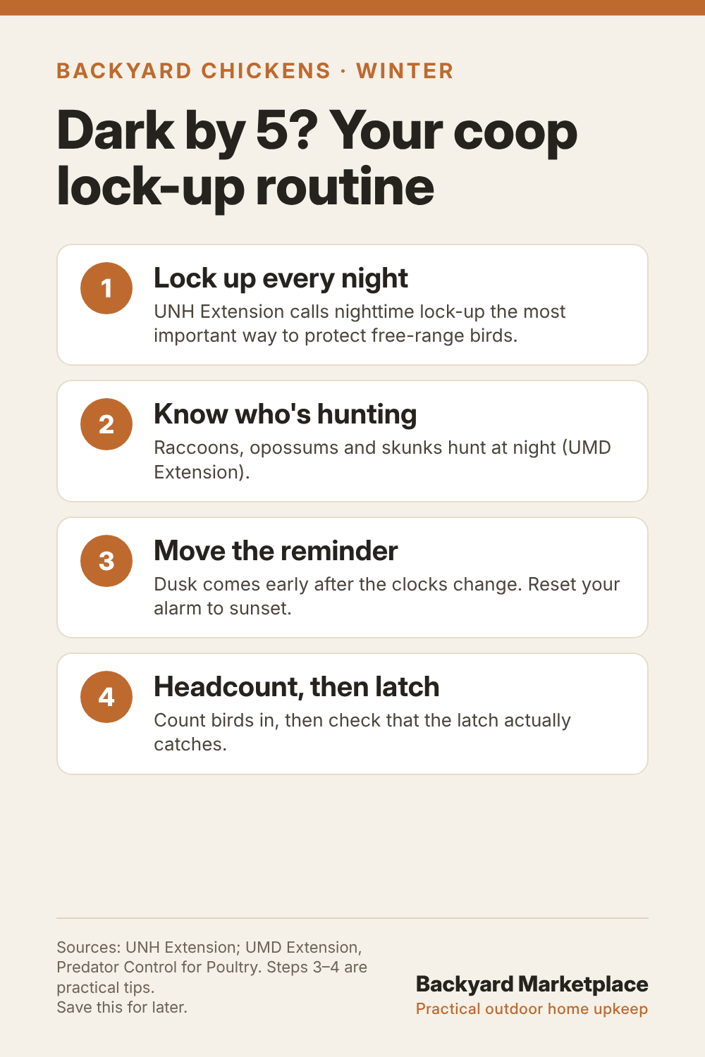 Infographic: Dark by 5? Your coop lock-up routine: lock up every night, know who's hunting, move the reminder to sunset, headcount then latch